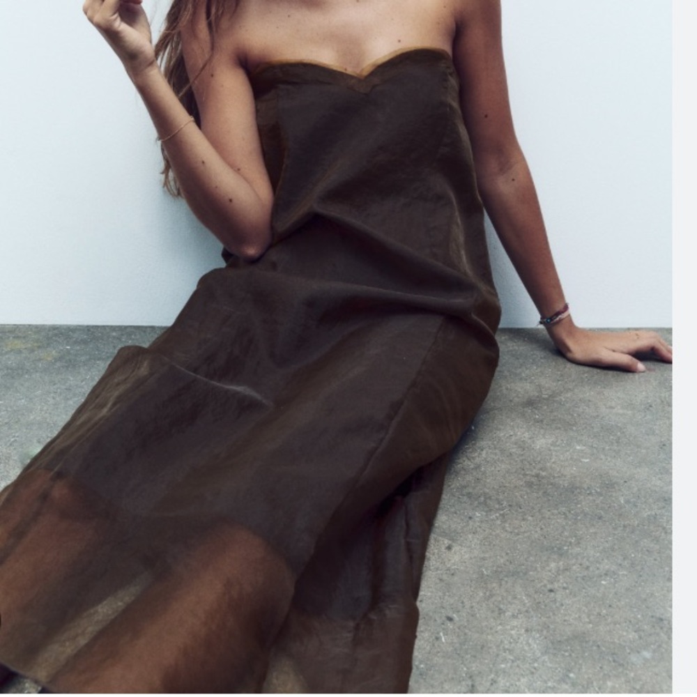 Zara organza corset dress
